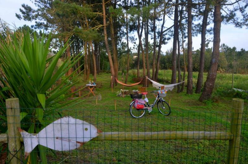 Happy Cat House - Holiday Rental São Martinho do Porto Esterno foto